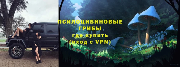 дурь Балахна
