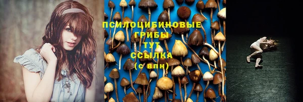 мяу мяу мука Армянск