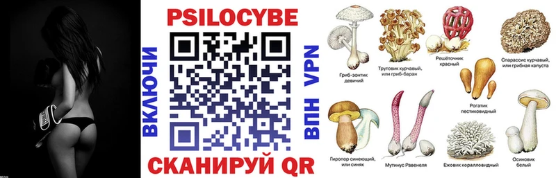 Галлюциногенные грибы GOLDEN TEACHER  сайты даркнета формула  Унеча 